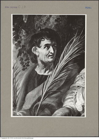 Vorderseite von ICCD [https://www.deutsche-digitale-bibliothek.de/content/lizenzen/rv-ez/] Die Heiligen Domitilla, Nereus und Achilleus - Detail: Kopf des heiligen Nereus, bh153441_recto. Foto.