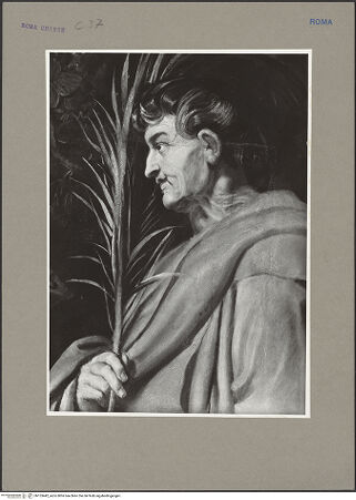 Vorderseite von ICCD [https://www.deutsche-digitale-bibliothek.de/content/lizenzen/rv-ez/] Die Heiligen Domitilla, Nereus und Achilleus - Detail: Kopf des heiligen Achilleus, bh153442_recto. Foto.