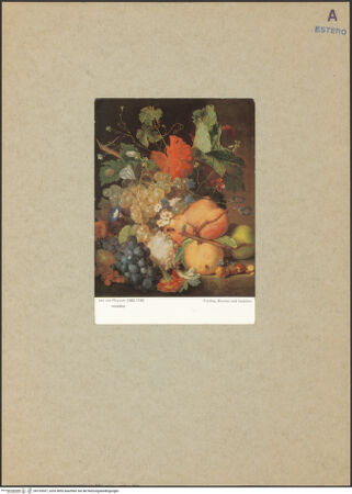 Vorderseite von bh153537_recto