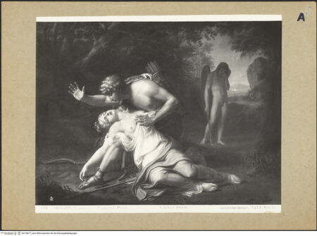 Vorderseite von bh153677_recto