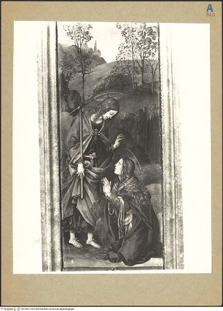 Vorderseite von bh153691_recto