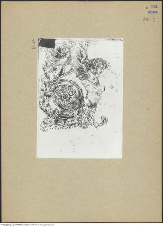 Vorderseite von bh154082_recto