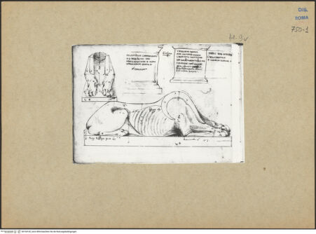 Vorderseite von bh154142_recto