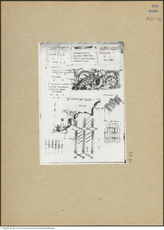 Vorderseite von bh154146_recto