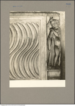 Vorderseite von Hutzel, Max [https://www.deutsche-digitale-bibliothek.de/content/lizenzen/rv-ez/] Vorderseite eine Strigelsarkophags mit Imago clipeata - Detail: Genius an der rechten Ecke des Sarkophags, bh154241_recto. Foto: Hutzel, Max.