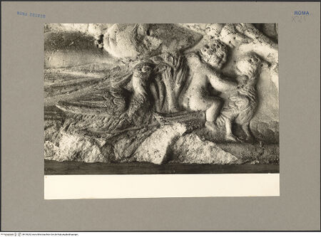 Vorderseite von Hutzel, Max [https://www.deutsche-digitale-bibliothek.de/content/lizenzen/rv-ez/] Vorderseite eines Sarkophags mit Imago clipeata und Genien - Detail am unteren Reliefrand: Genius mit Vögeln, bh154242_recto. Foto: Hutzel, Max.