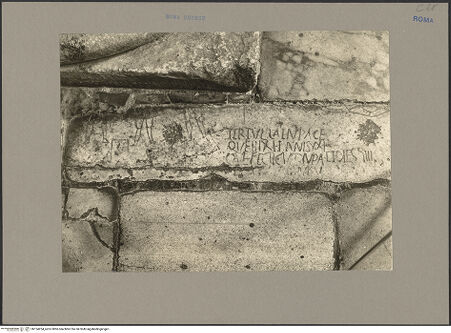 Vorderseite von Hutzel, Max [https://www.deutsche-digitale-bibliothek.de/content/lizenzen/rv-ez/] Cosmatenfußboden - Detail: Cosmatenfußboden mit Fragmenten von Inschriften, bh154254_recto. Foto: Hutzel, Max.