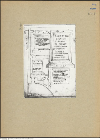 Vorderseite von bh154377_recto