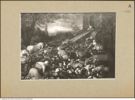 Vorderseite von bh154498_recto