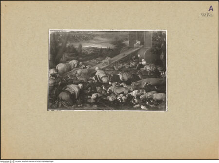 Vorderseite von bh154499_recto