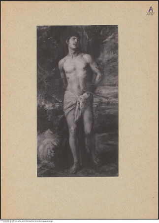 Vorderseite von bh154564_recto