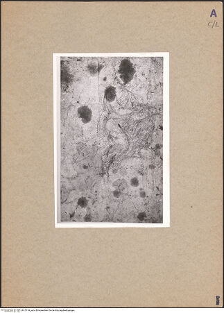 Vorderseite von bh155144_recto