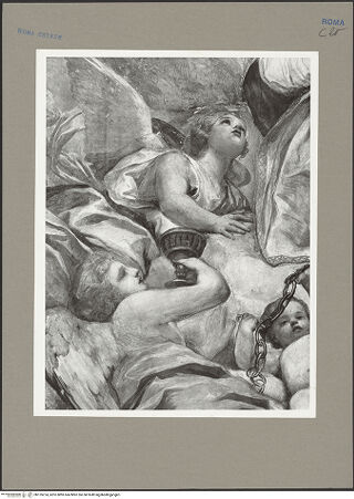 Vorderseite von bh155274_recto