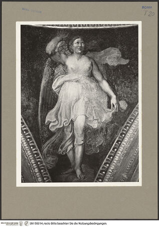 Vorderseite von Bibliotheca Hertziana [https://www.deutsche-digitale-bibliothek.de/content/lizenzen/rv-fz/] Gewölbeausmalung mit Präfigurationen der Jungfräulichkeit MariasEngel in den Pendentifs - , bh155314_recto. Foto: Rigamonti.