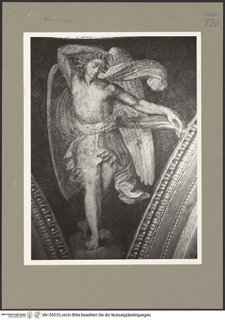 Vorderseite von Bibliotheca Hertziana [https://www.deutsche-digitale-bibliothek.de/content/lizenzen/rv-fz/] Gewölbeausmalung mit Präfigurationen der Jungfräulichkeit MariasEngel in den Pendentifs - , bh155315_recto. Foto: Rigamonti.