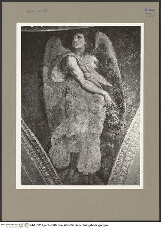 Vorderseite von Bibliotheca Hertziana [https://www.deutsche-digitale-bibliothek.de/content/lizenzen/rv-fz/] Gewölbeausmalung mit Präfigurationen der Jungfräulichkeit MariasEngel in den Pendentifs - , bh155317_recto. Foto: Rigamonti.