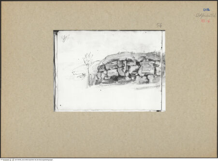 Vorderseite von bh155956_recto