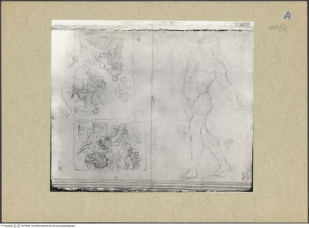 Vorderseite von bh155996_recto