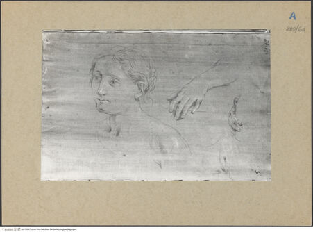 Vorderseite von bh155997_recto