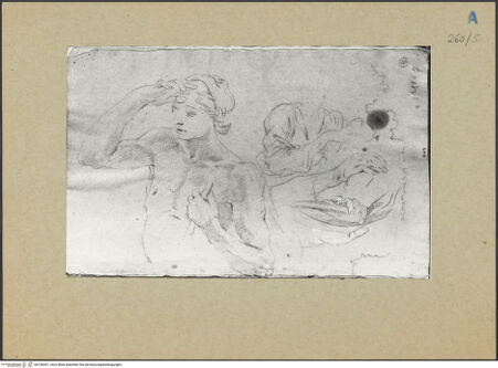 Vorderseite von bh156001_recto