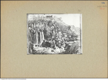 Vorderseite von bh156038_recto