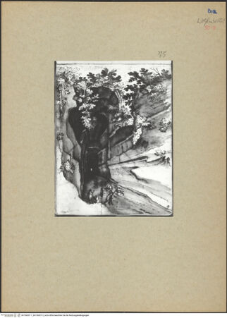 Vorderseite von bh156057-1_bh156057-2_recto