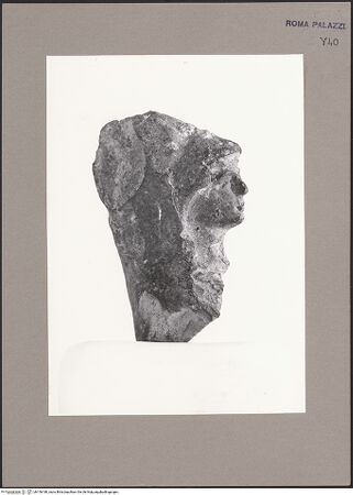 Vorderseite von Bibliotheca Hertziana [https://www.deutsche-digitale-bibliothek.de/content/lizenzen/rv-fz/] Minerva - Profilansicht rechte Seite, bh156180_recto. Foto.