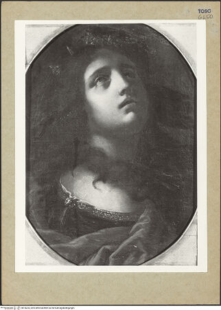 Vorderseite von bh156335_recto