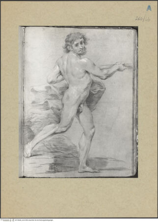 Vorderseite von bh156668_recto