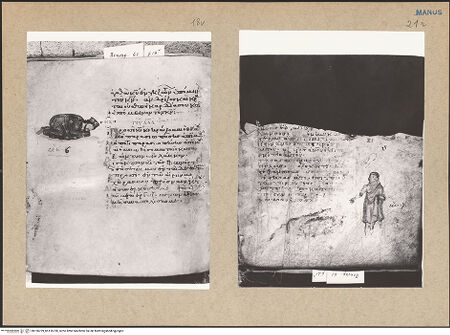 Vorderseite von bh156729_bh156730_recto