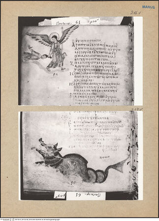 Vorderseite von bh156787_bh156788_recto