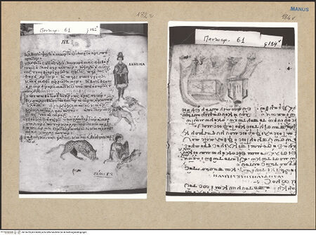 Vorderseite von bh156799_bh156800_recto