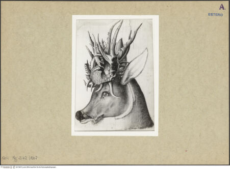 Vorderseite von bh156819_recto