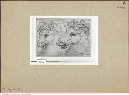 Vorderseite von bh156846_recto