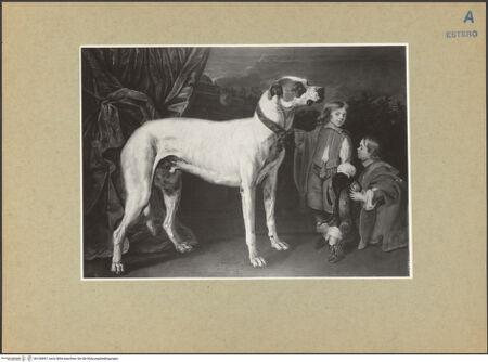 Vorderseite von bh156897_recto