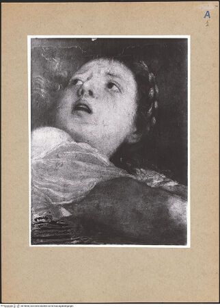 Vorderseite von bh156980_recto