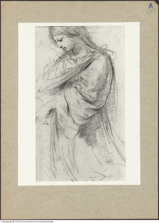 Vorderseite von bh157244_recto