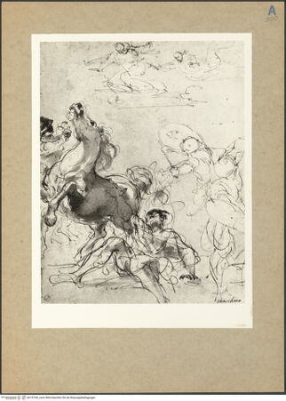 Vorderseite von bh157246_recto