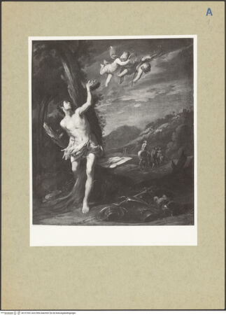 Vorderseite von bh157353_recto