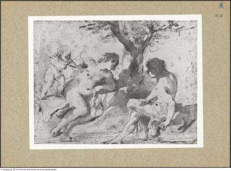 Vorderseite von bh157544_recto