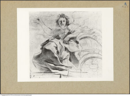 Vorderseite von bh157553_recto