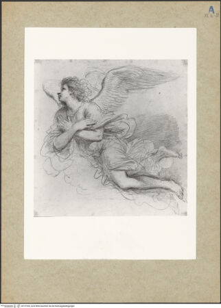 Vorderseite von bh157559_recto