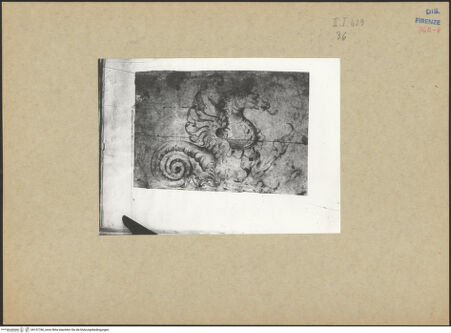 Vorderseite von bh157786_recto