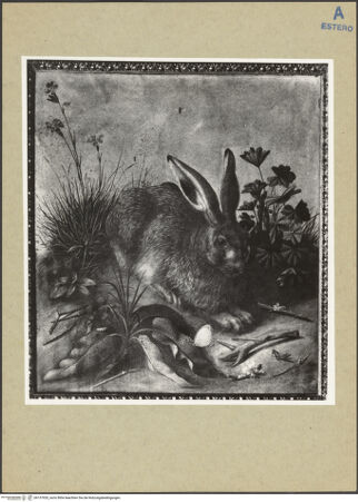 Vorderseite von bh157920_recto