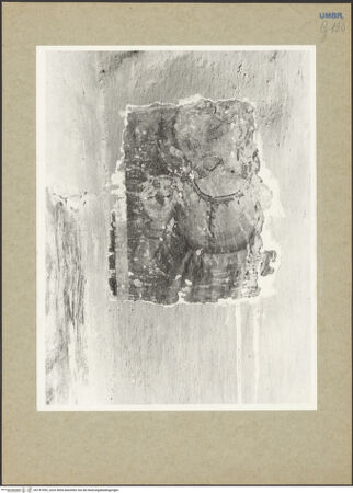 Vorderseite von bh157993_recto