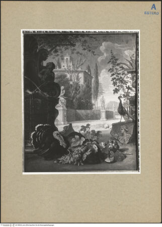 Vorderseite von bh158028_recto