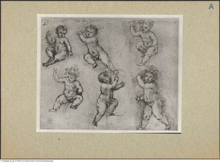 Vorderseite von bh158302_recto