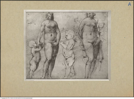 Vorderseite von bh158303_recto