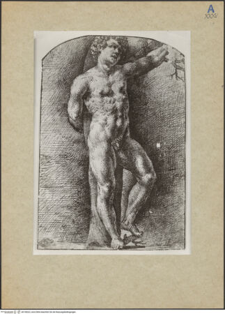 Vorderseite von bh158322_recto