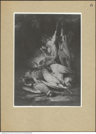 Vorderseite von bh158364_recto